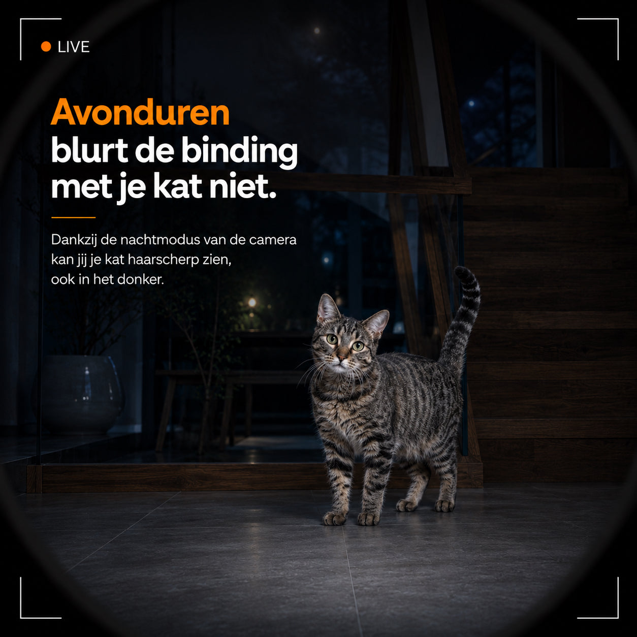 Dubbele Voerautomaat Pro Met Camera Voor Katten